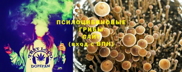 мескалин Козловка